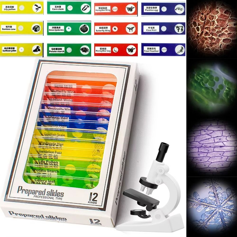 1 Set Zinc Copper Strips For F - Science Project のレビューと価格