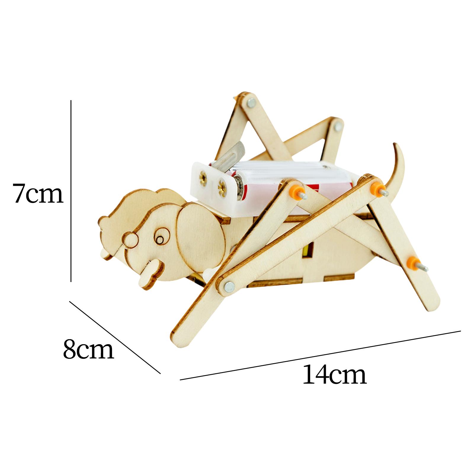 DIY Wooden Model Set Science K - Science Project Toys Making のレビューと価格