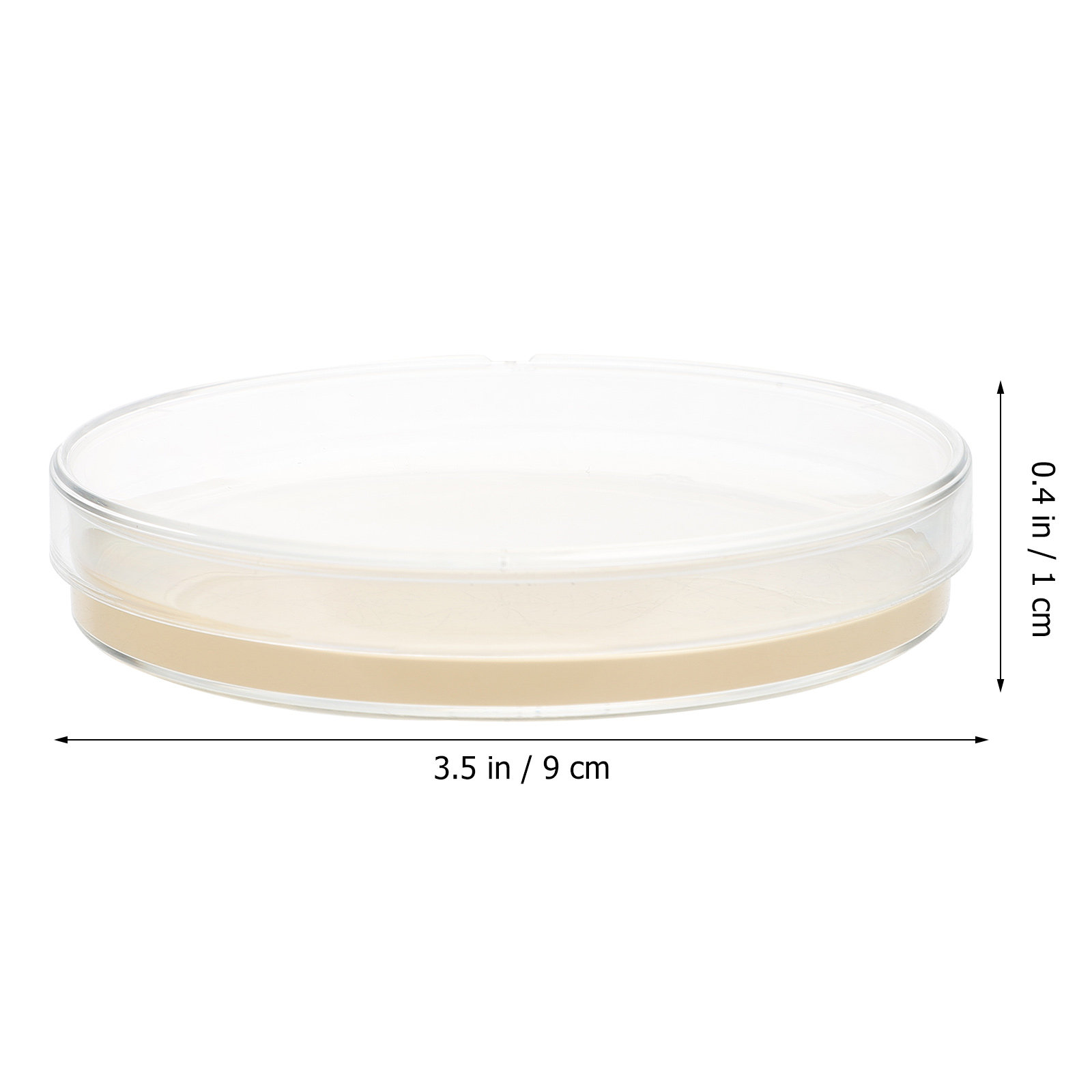 10pcs Nutrient Agar Plates Pre - Science Project のレビューと価格