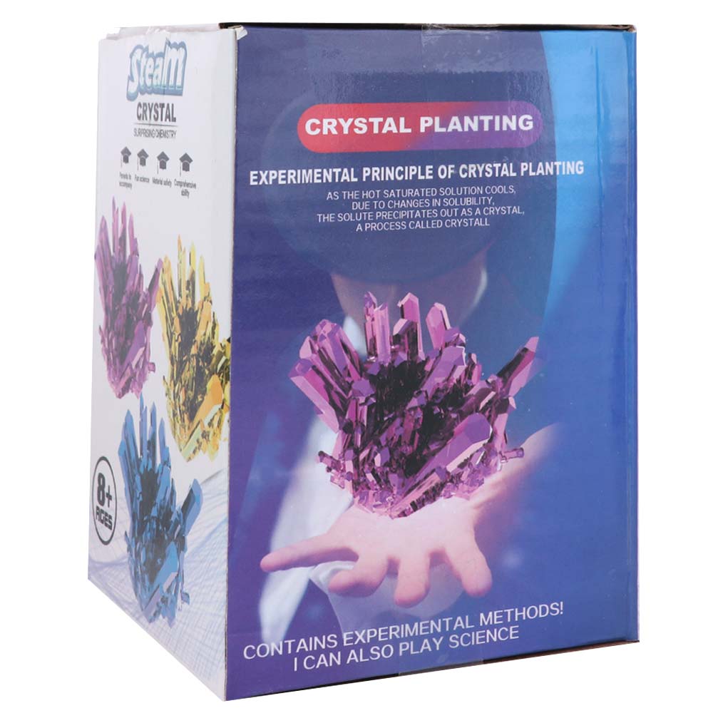 Grow a Crystal Crystal Growing - Science Project Diy のレビューと価格