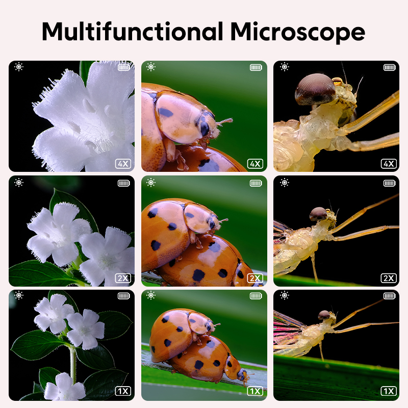 Mini Kids Optical Microscope W - Science Max のレビューと価格