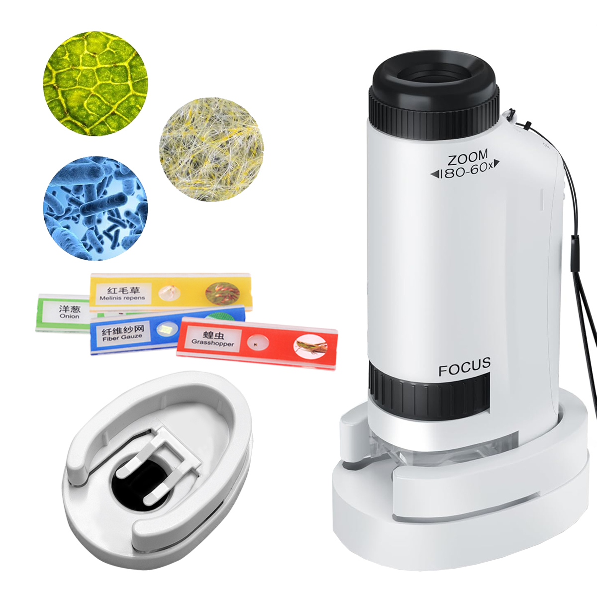 Mini Microscope Handheld Toys  - Science Max のレビューと価格